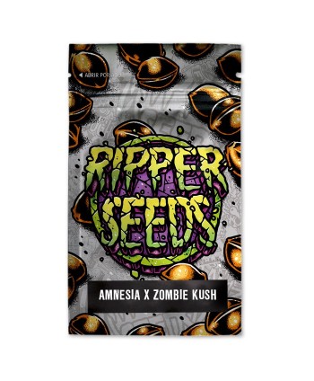 Amnesia x Zombie Kush x 3 Ripper Seeds (Edición Limitada)