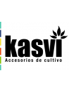 Kasvi